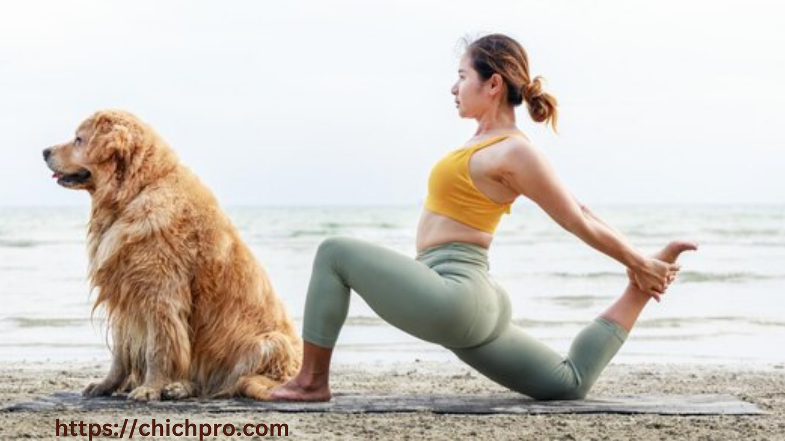 Healthytails
