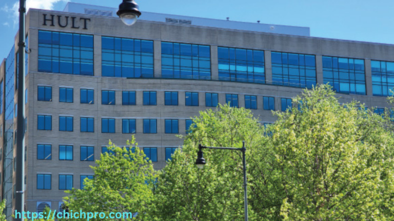 A Complete Guide to Hult International Business School