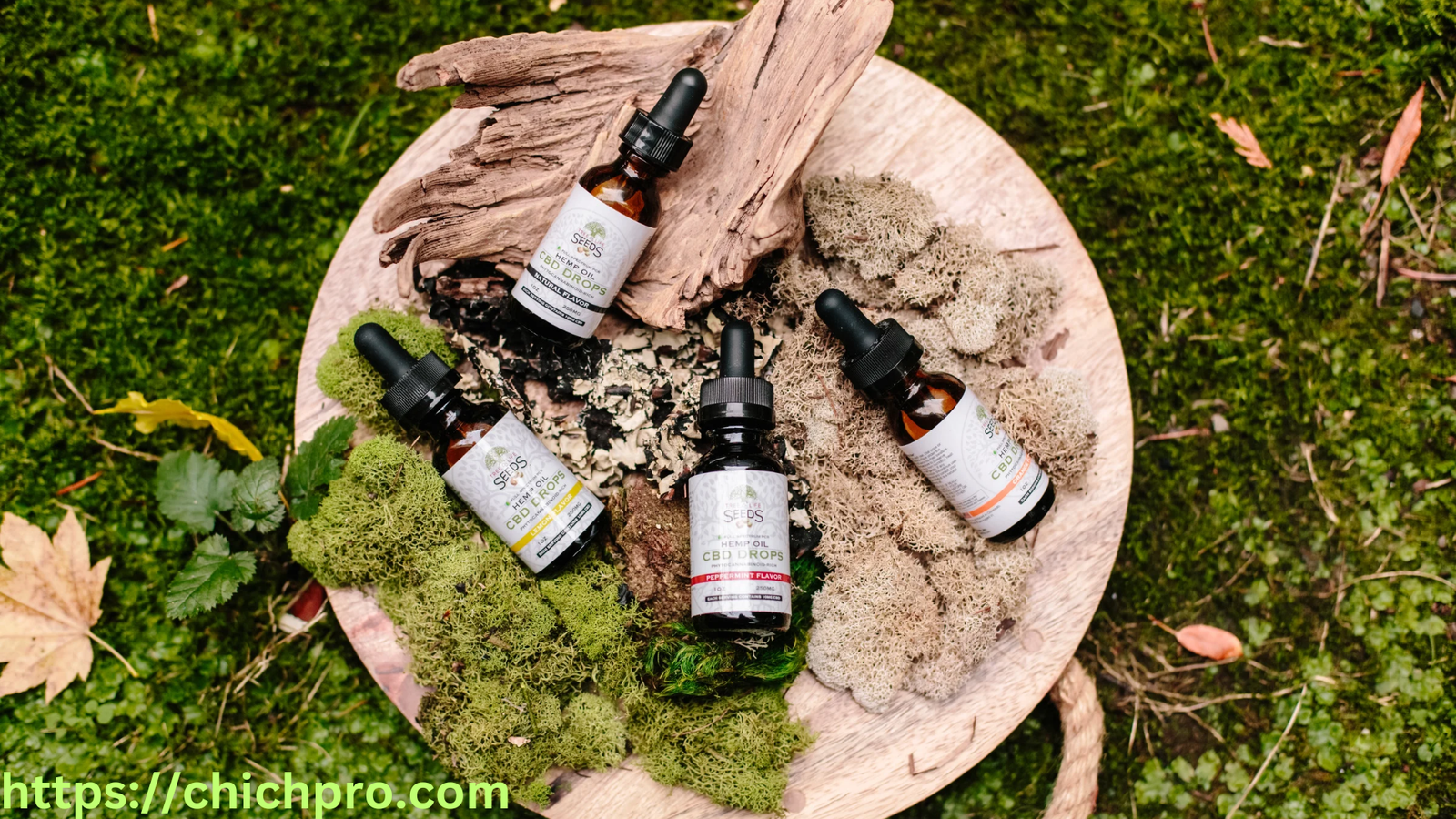 full spectrum CBD oil