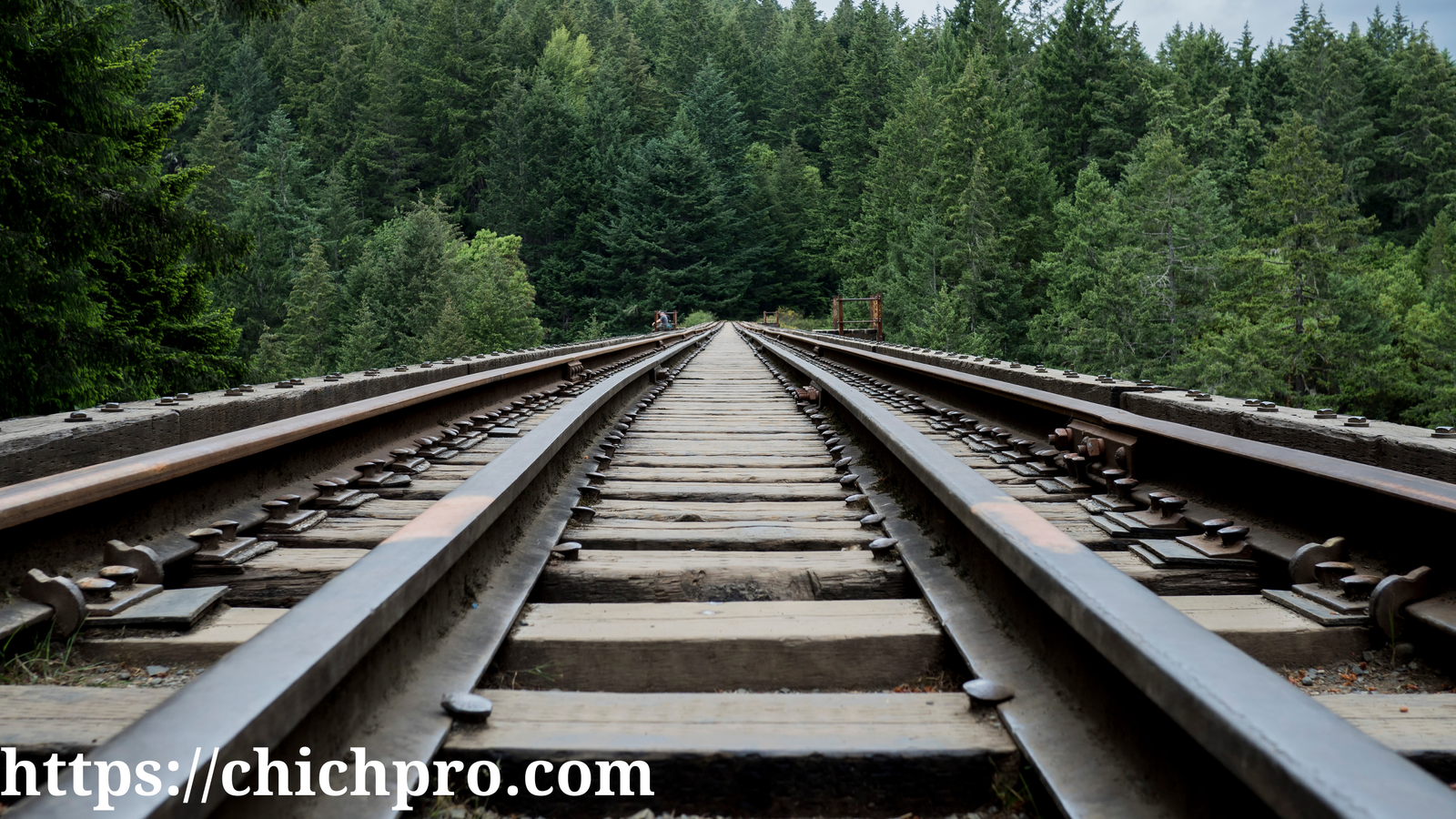 the trestle