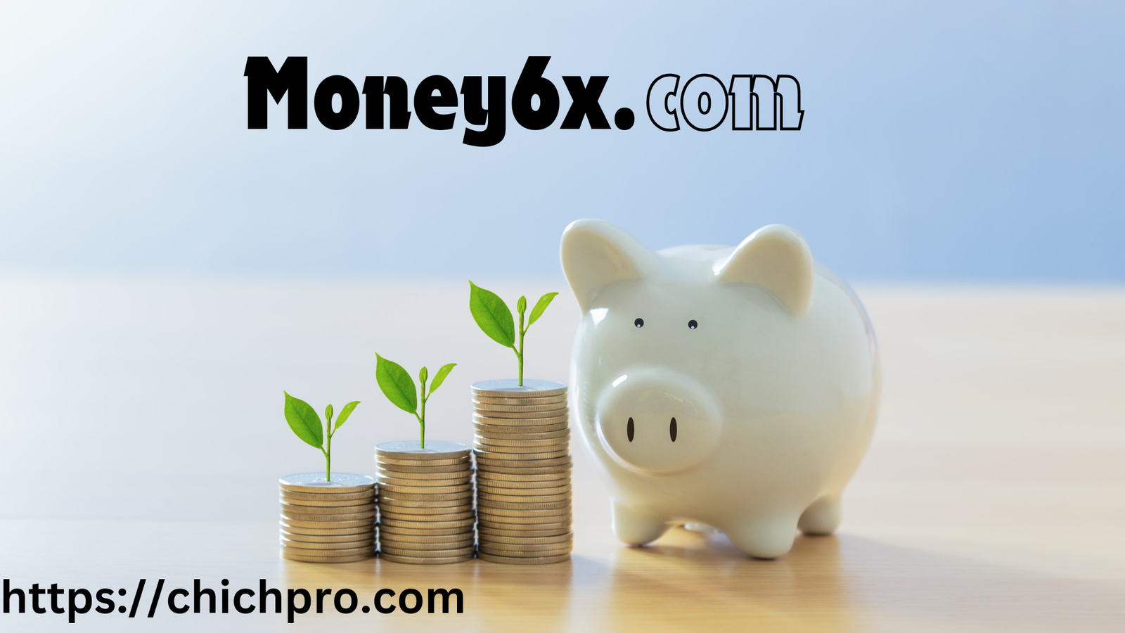 Money6x.com